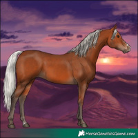Horse Color:Silver Bay Sabino