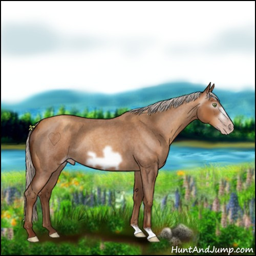 Horse Color:Gray Silver Sable Champagne Roan Frame 