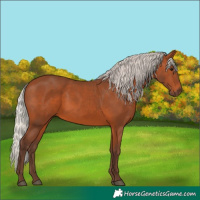Horse Color:Silver Brown 