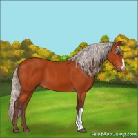 Horse Color:Silver Brown 