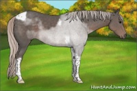 Horse Color:Silver Black Tobiano 
