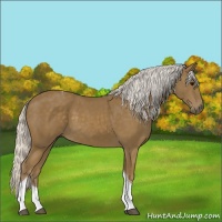 Horse Color:Silver Smoky Black Tobiano 