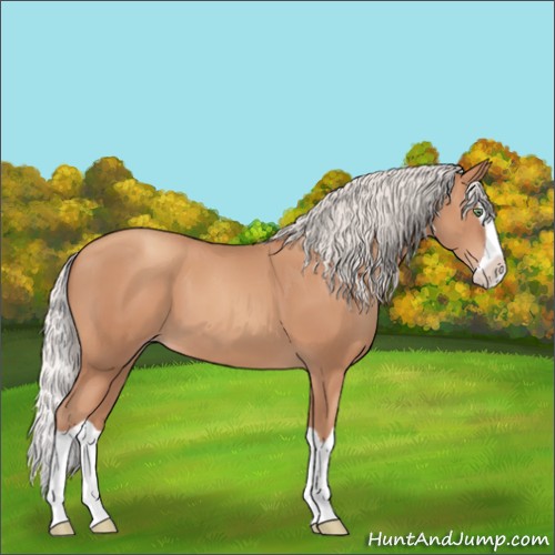 Horse Color:Silver Amber Champagne Splash 