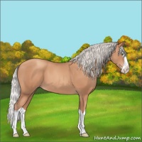 Horse Color:Silver Amber Champagne Splash