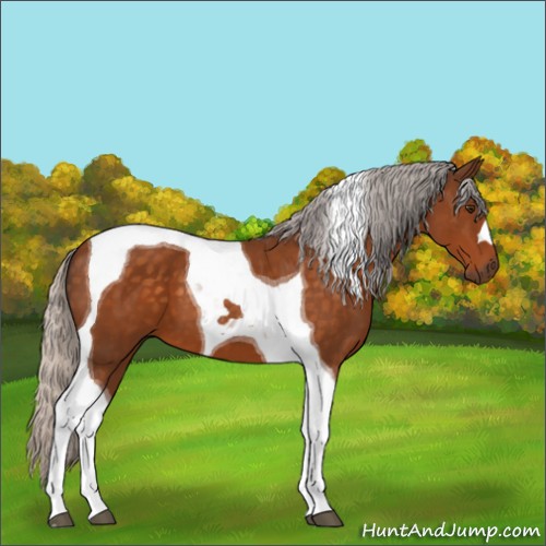 Horse Color:Silver Buckskin Tobiano