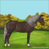 Horse Color:Silver Brown 