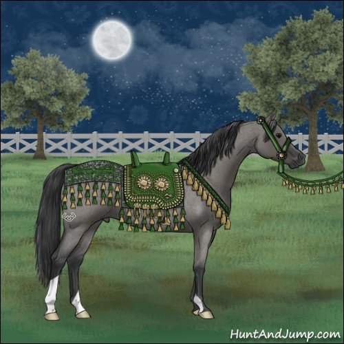 Horse Color:Grullo Roan