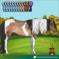Horse Color:Brown Dun Tobiano Rabicano 