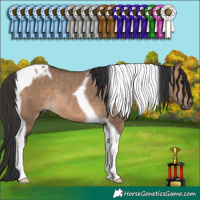 Horse Color:Brown Dun Tobiano Rabicano