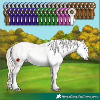 Horse Color:White Spotted Silver Smoky Black Pearl 