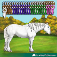 Horse Color:White Spotted Silver Smoky Black Pearl 