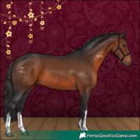 Horse Color:White Spotted Brown 