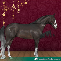 Horse Color:White Spotted Brown 