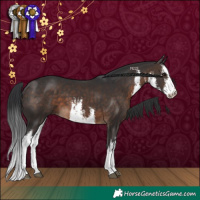 Horse Color:White Spotted Brown 