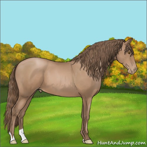Horse Color:Black Pearl 