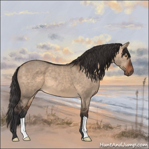 Horse Color:Brown Dun 