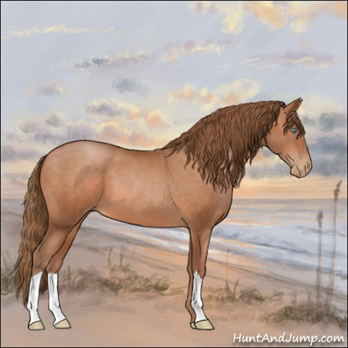 Horse Color:Brown Pearl 