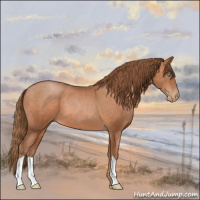 Horse Color:Brown Pearl 
