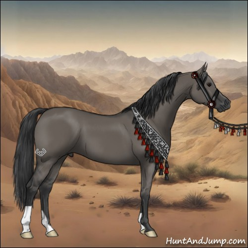 Horse Color:Grullo