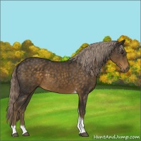 Horse Color:Chocolate Palomino Tobiano