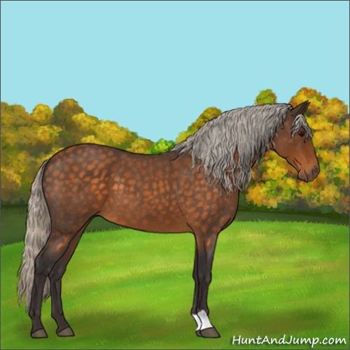 Horse Color:Silver Buckskin Roan 