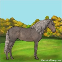 Horse Color:Silver Black 