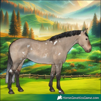 Horse Color:White Spotted Brown Dun 