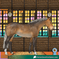 Horse Color:Silver Buckskin Rabicano