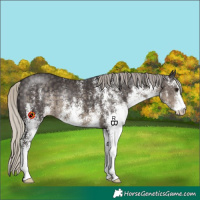 Horse Color:White Spotted Silver Smoky Black