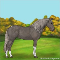 Horse Color:Silver Black Tobiano
