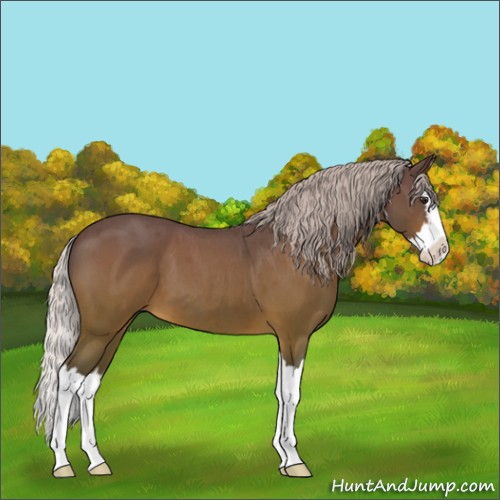 Horse Color:Silver Brown Roan Splash