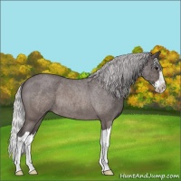Horse Color:Platinum Silver Brown Roan Splash 