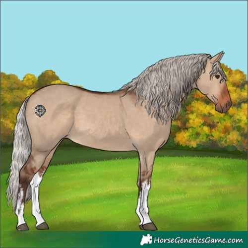Horse Color:White Spotted Silver Brown Dun 
