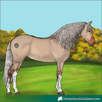Horse Color:White Spotted Silver Brown Dun 