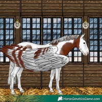 Horse Color:Silver Brown Splash Tobiano 