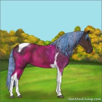 Horse Color:Painted Silver Brown Tobiano 