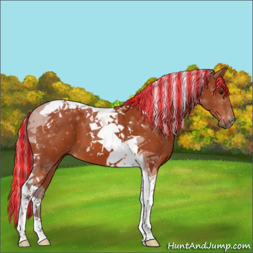 Horse Color:Painted Silver Bay Tobiano 