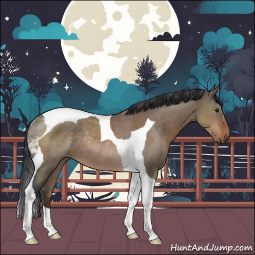 Horse Color:Brown Roan Dun Tobiano Rabicano