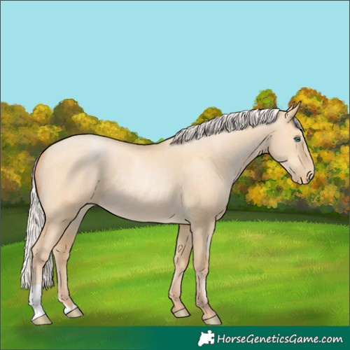 Horse Color:Silver Buckskin Pearl Dun 