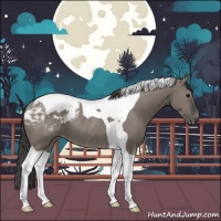 Horse Color:Grullo Tobiano Appaloosa Rabicano 