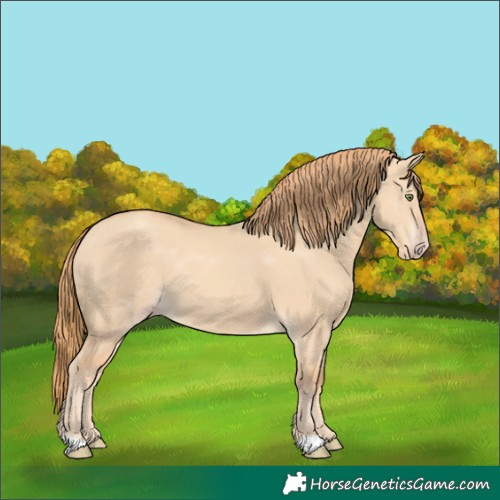 Horse Color:Gold Champagne Dun 