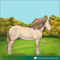 Horse Color:Gold Champagne Dun 