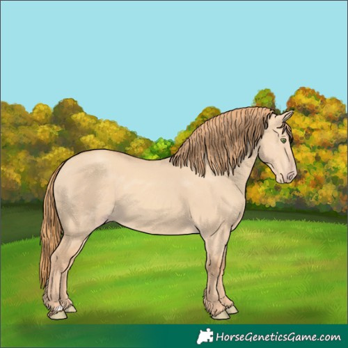Horse Color:Gold Champagne Dun