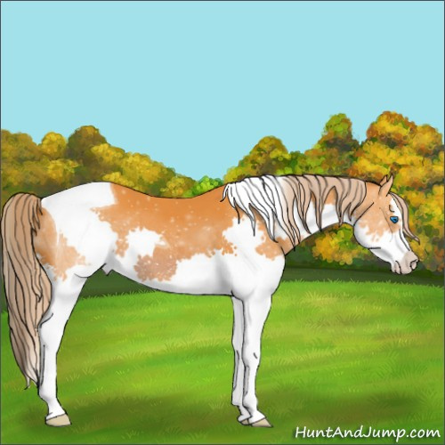 Horse Color:Watercolor Liver Chestnut Splash Tobiano