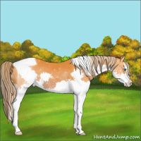 Horse Color:Watercolor Liver Chestnut Splash Tobiano 