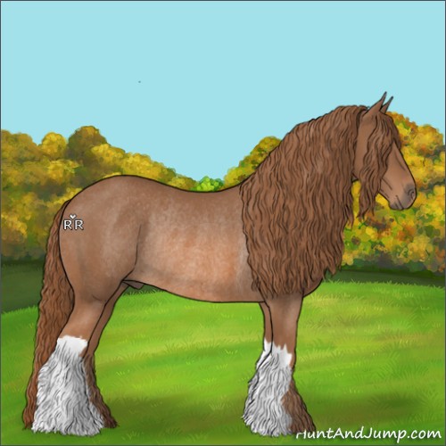 Horse Color:Chestnut Rabicano 