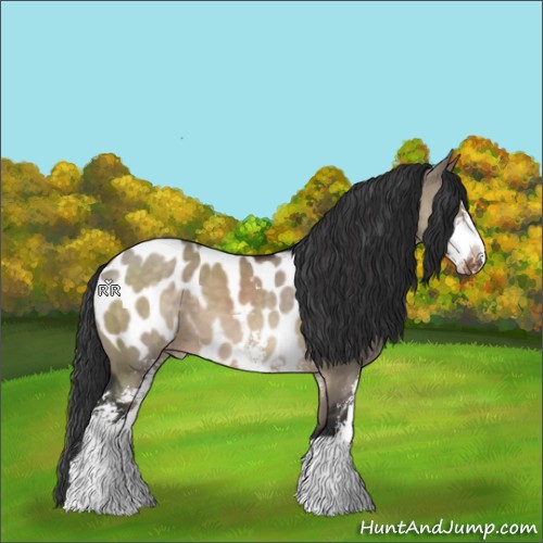 Horse Color:Brown Dun Sabino Appaloosa 
