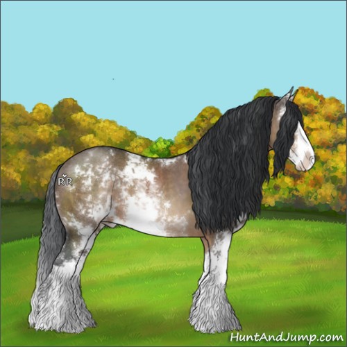 Horse Color:Brown Dun Sabino 