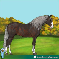 Horse Color:Silver Brown 