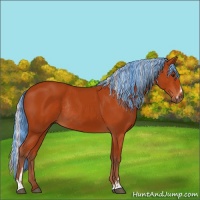 Horse Color:Painted Silver Bay Sabino Rabicano